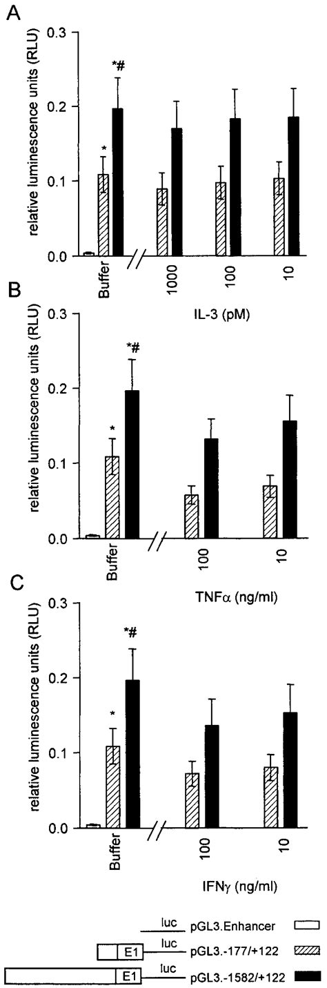 Effects Of Cytokines On Ccr Promoter Function Promoter Activity Of