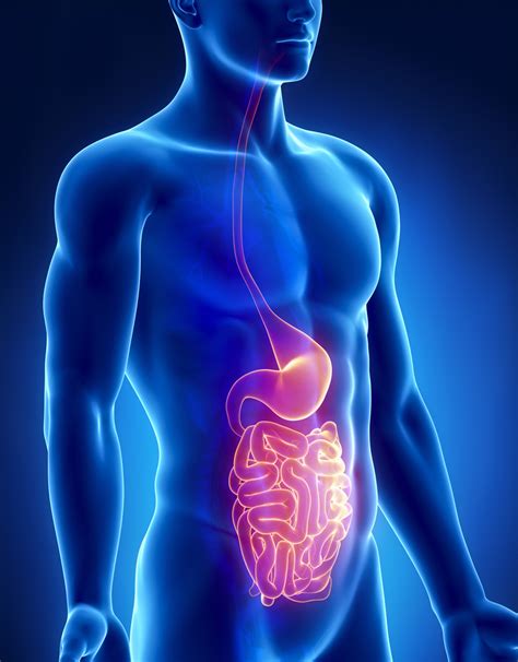 Sarcoidosis May Be Root Of Digestive Tract Problems In Some Patients