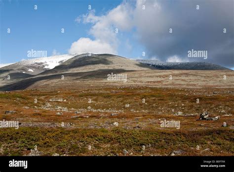 Sarek National Park Stock Photo - Alamy