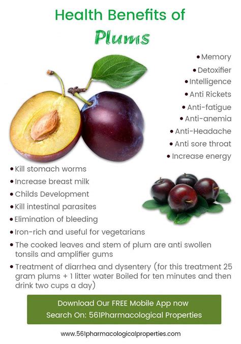 Fruit Benefits Of Plum Health Benefits