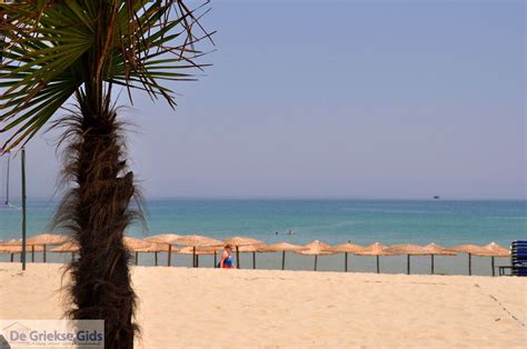 Paradise Beach Thassos | Holidays in Paradise Beach | Greece Guide