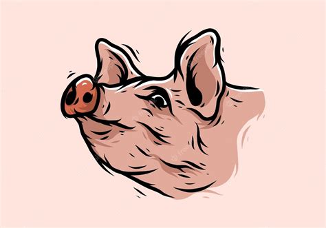 Premium Vector Vintage Pig Head Illustration Drawing