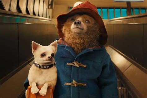 The Paddington Franchise Has A Villain Problem Film Inquiry
