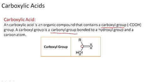 Carboxylic Acids Overview Video Chemistry Ck 12 Foundation