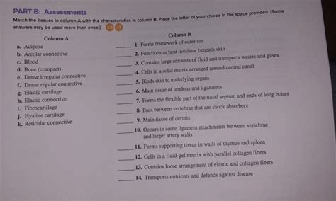 Solved PART B Assessments Match The Tissues In Column A Chegg