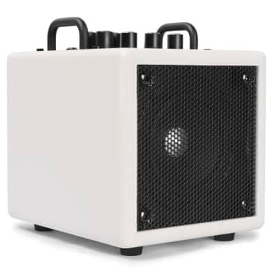 Extremely Portable Phil Jones X4 C Nanobass Combo White Reverb