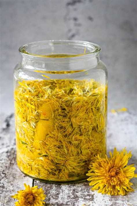 Homemade Dandelion Liqueur Recipe Larder Love