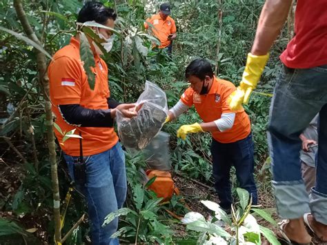 Heboh Penemuan Kerangka Manusia Di Palopo Identitasnya