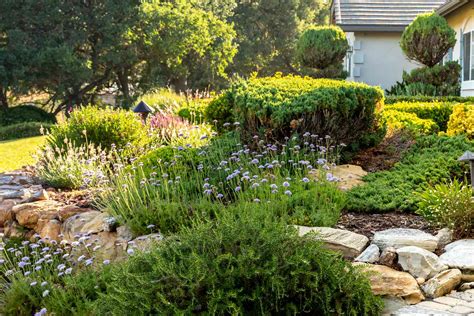 Creating A Pollinator Friendly Garden A Step By Step Guide Livinator