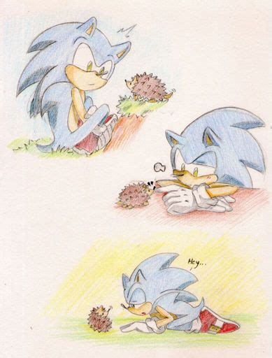 Sonic Meets The Hedgehog Sonic The Hedgehog Amino