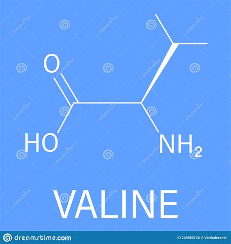 Valine Val C5H11NO2 Î Amino Acid Structural Chemical Formula And