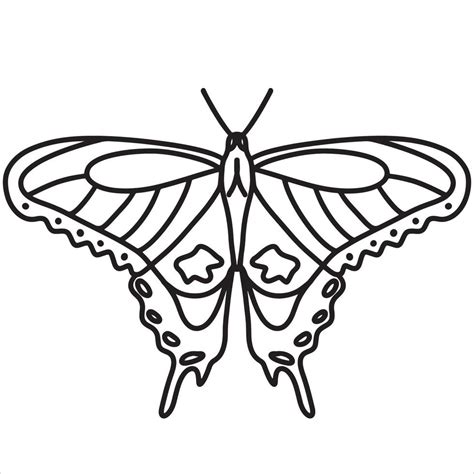 Butterfly Outline Hand Drawing Doodle Vector Art At Vecteezy