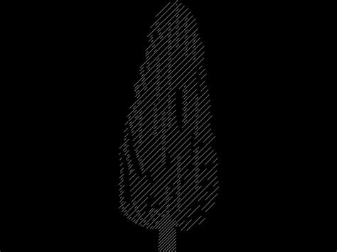 Coniferous Tree Elevation In Autocad Cad 2273 Kb Bibliocad