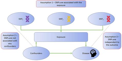 Frontiers Use Of Mendelian Randomization For Identifying Risk Factors