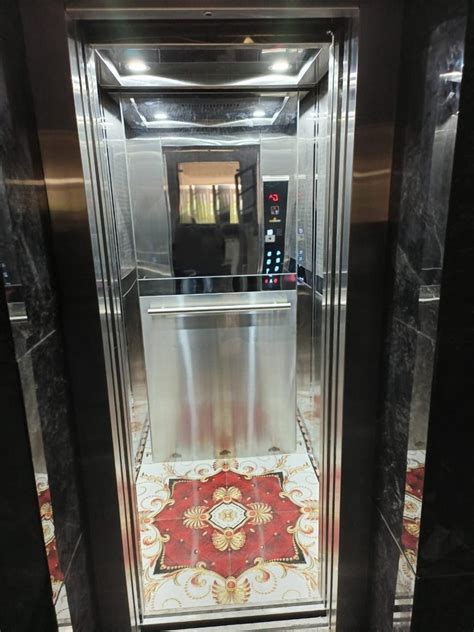 Carrymax Stainless Steel Passenger Elevator Without Machine Room