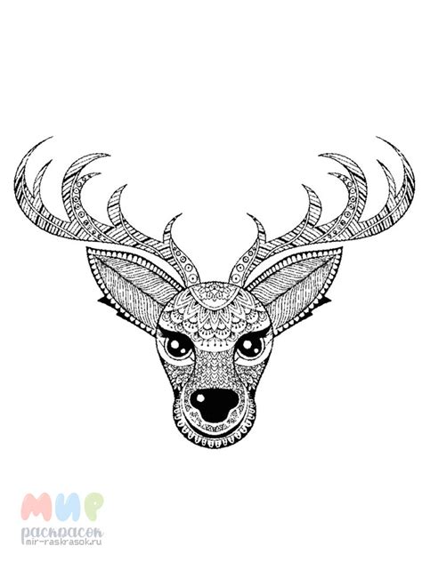 Раскраска Пень: 110+ раскрасок для распечатки бесплатно