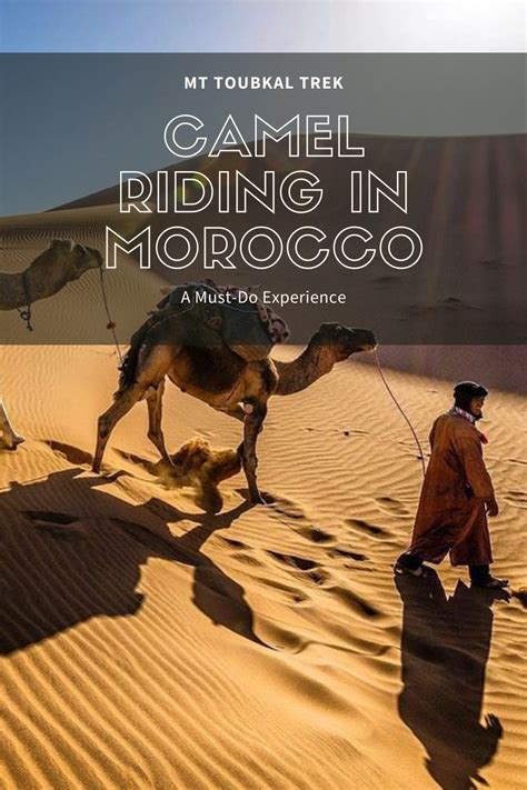 Camel riding in morocco an experience of a lifetime – Artofit