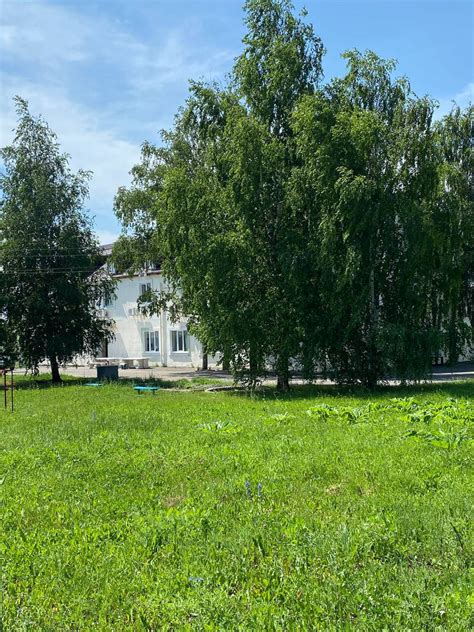Лечение нарко / алко зависимости в реабилитационном центре "Альянс ...