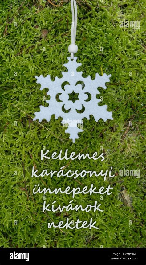 Christmas Card With Golden Star And Hungarian Text Text I Wish You A