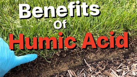 Benefits Of Humic Acid Lawn Update YouTube