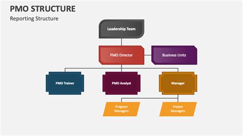 Pmo Structure Powerpoint Presentation Slides Ppt Template