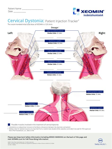 Fillable Online A Guide To Dosing In The Treatment Of Cervical Dystonia