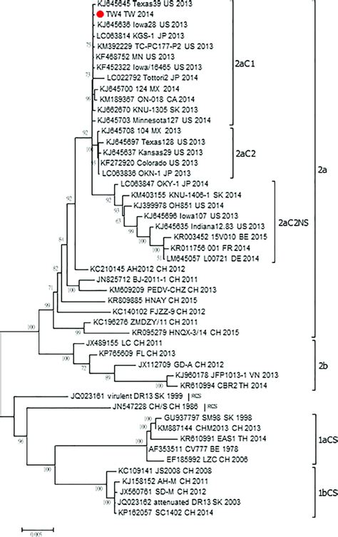 Data For PEDV49 Whole Genome Phylogenetic Relationships From ML Tree