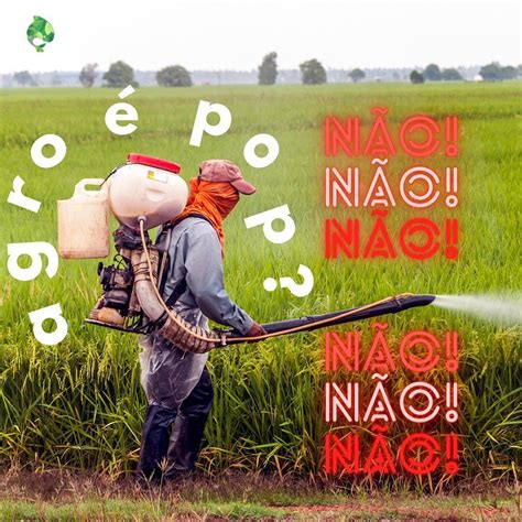 E cologia on Instagram O agro é pop A resposta é NÃO O Brasil é