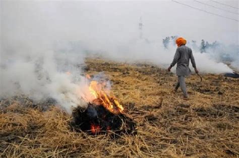 Stubble Burning Problem पराली जलाने की समस्या से छुटकारा पाने में