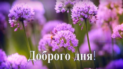 Доброго дня! - YouTube