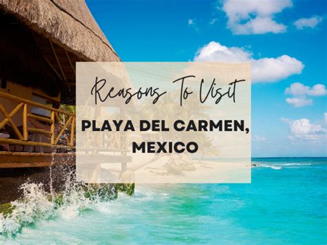 Reasons To Visit Playa Del Carmen Mexico At Least Once In Your