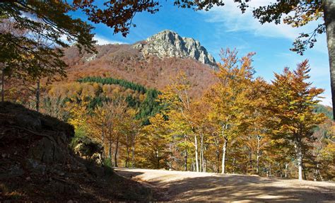 Paisatges I Jardins Landscapes And Gardens Parc Natural Del Montseny