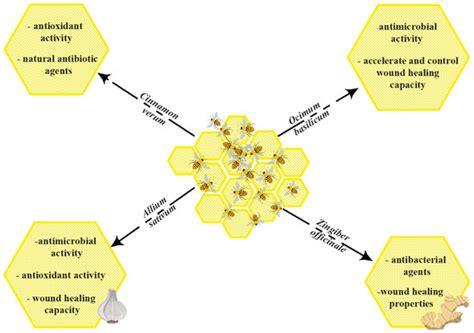 Antioxidants Free Full Text Synergic Effect Of Honey With Other