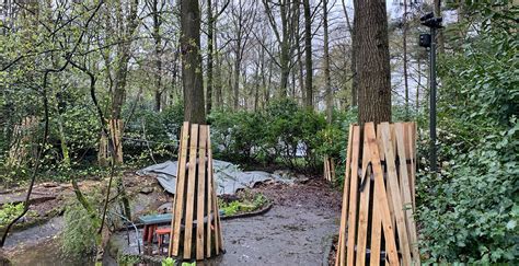 Foto S Efteling Sloopt Paddenstoelenhuisjes Uit In Het