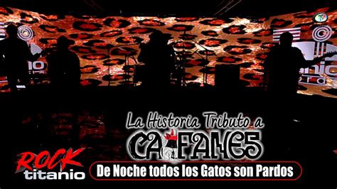 La Historia Tributo A Caifanes De Noche Todos Los Gatos Son Pardos