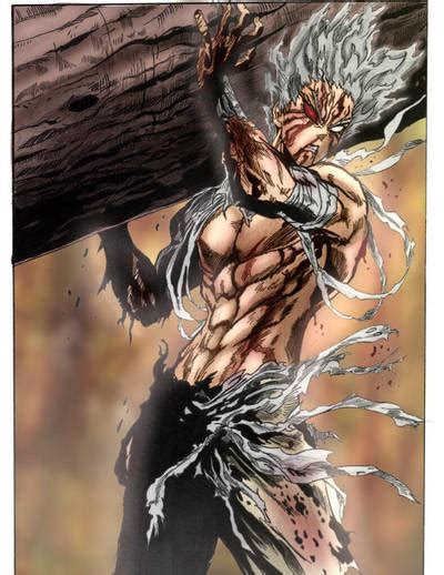 *Garou* - One Punch Man Photo (42942145) - Fanpop