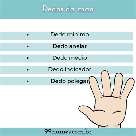 Nome Dos Dedos Da M O Nomes