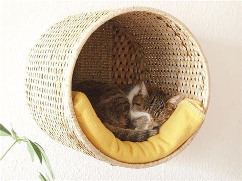 25 Warm And Cozy Cat Beds Homemydesign