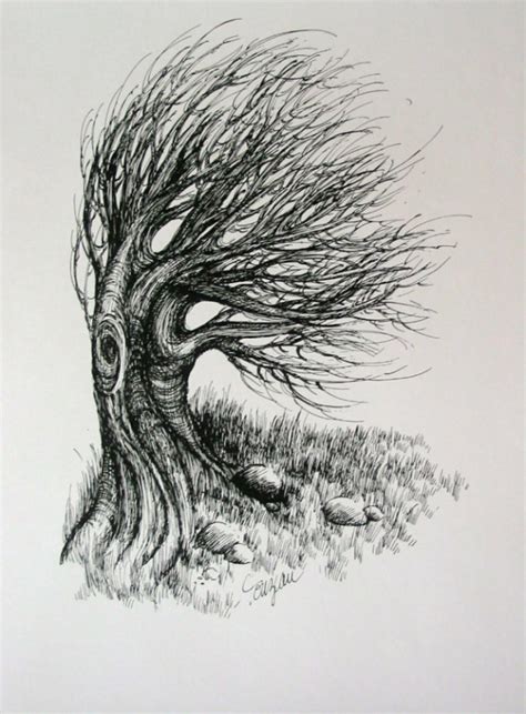 Windy Tree Drawing