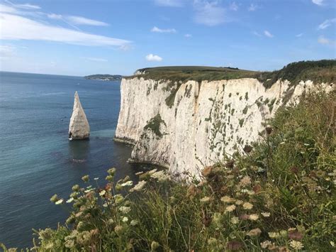 Ballard Down Dorset British Geological Survey