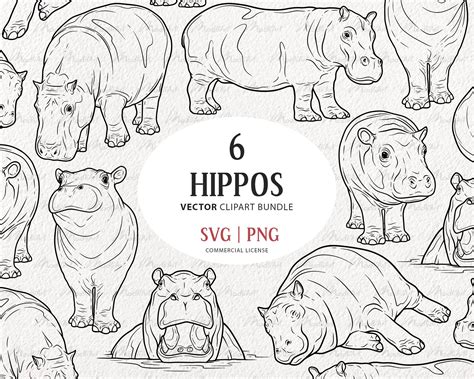 6 Hippos Svg Clipart Bundle Hippopotamus Vector Drawings Etsy