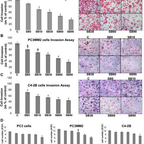 Effect Of Silibinin On The Invasiveness And Viability Of Human Pca