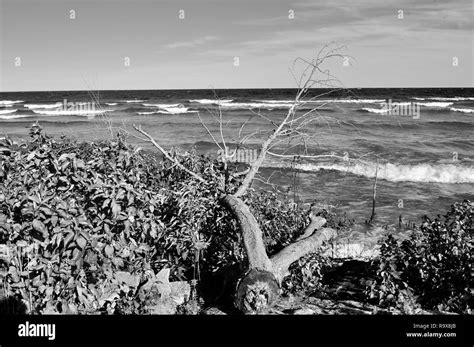 Mackinac Island Michigan Black And White Stock Photo Alamy