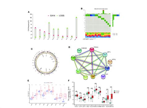 Genetic And Transcriptional Alterations Of CRGs In HCC A Frequencies