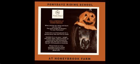 Pony dayz | Day Out With The Kids
