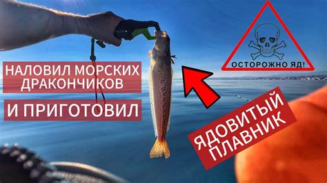 Наловил опасных рыб и приготовил . Морская рыбалка с каяка . Рыбалка в ...