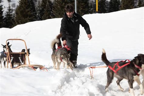 Le Migliori Esperienze Da Fare In Trentino Alto Adige Holidoit