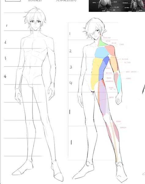 Pin by Song Poka on มโน in 2024 Body reference drawing Body shape