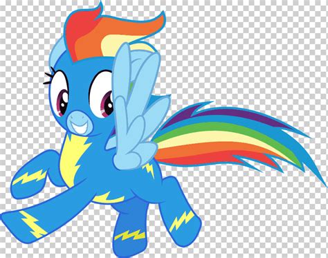 Pony Rainbow Dash Rareza Fluttershy Scootaloo Caballo Caballo