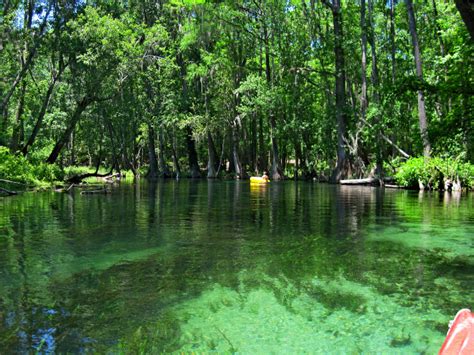 10 Best Places To Go Tubing In Florida (Natural Lazy Rivers!)